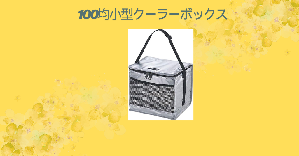 100均小型クーラーボックス