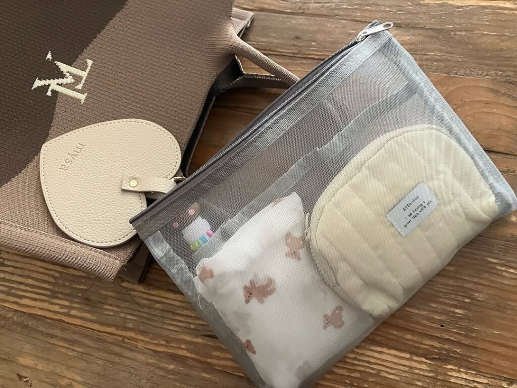 「収納上手な100円バッグインバッグ」
