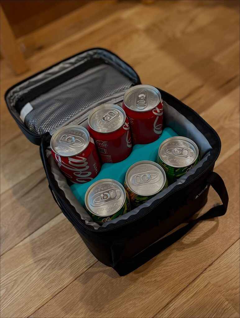 小型クーラーボックス（100均）
