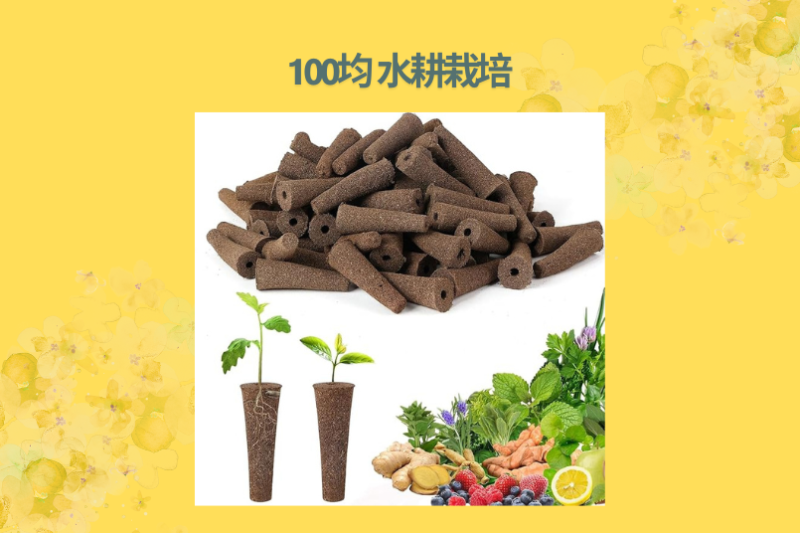 100均 水耕栽培